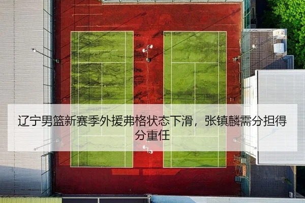 辽宁男篮新赛季外援弗格状态下滑，张镇麟需分担得分重任