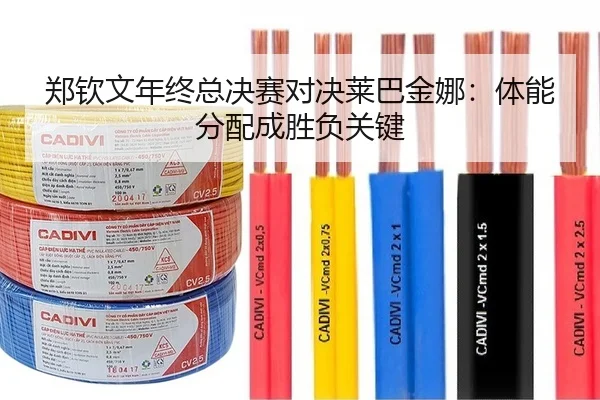郑钦文年终总决赛对决莱巴金娜：体能分配成胜负关键